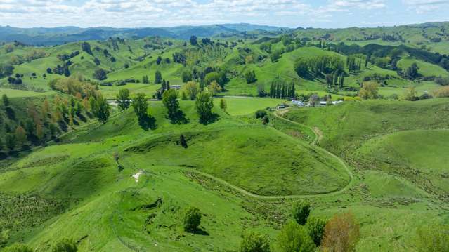 Excellent hill country breeding and finishing farm