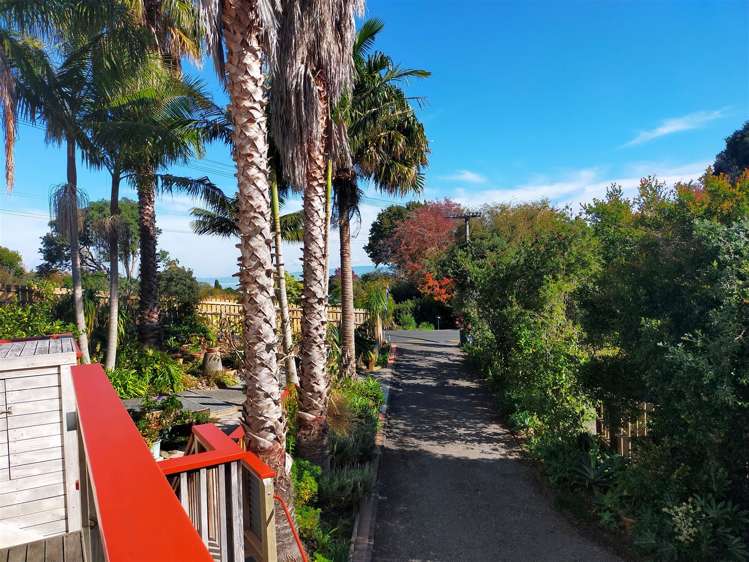 100 The Terrace Thames_25