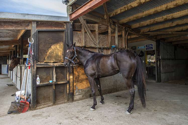 139 Harmans Road Leeston_24