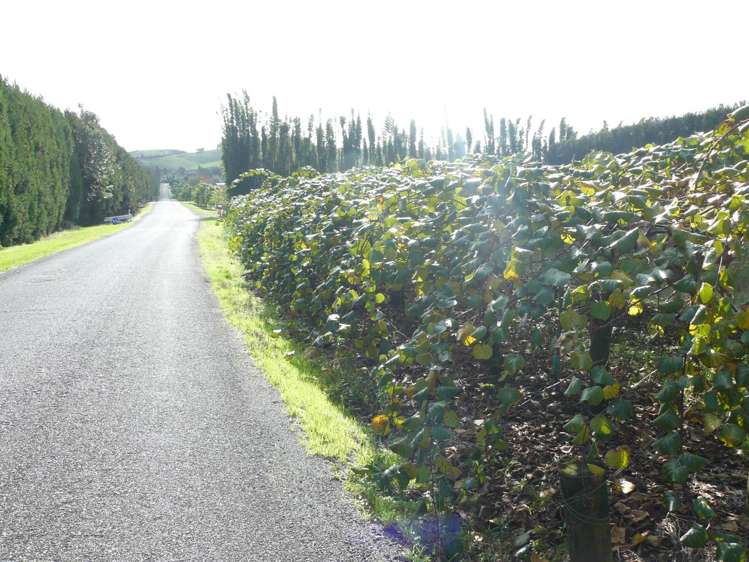 369b Kapiro Road Kerikeri_10