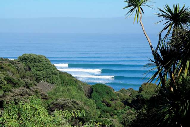 Whale Bay Sanctuary - Raglan, N.Z