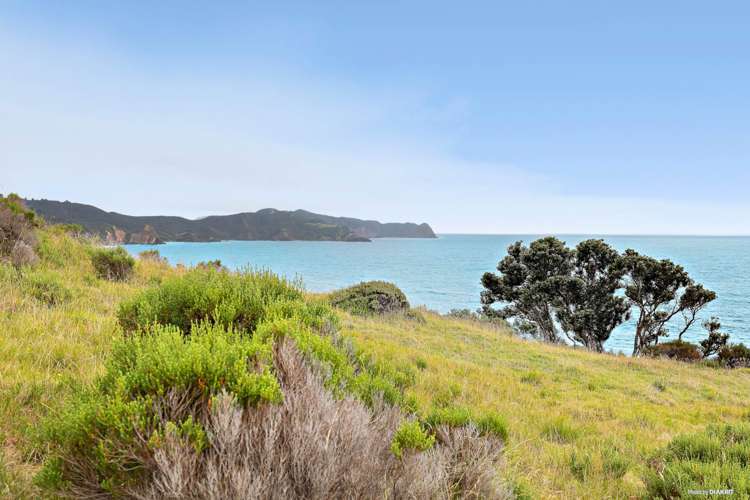 346 Gray Road Great Barrier Island (Aotea Island)_24