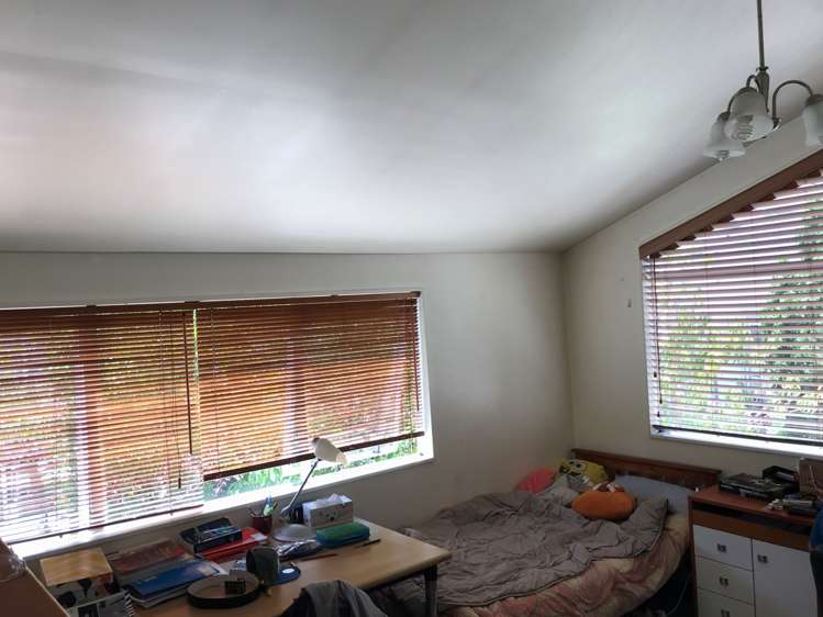 8f Cotter Avenue Remuera_7