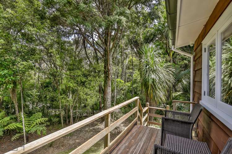 85 Tanekaha Road Titirangi_13