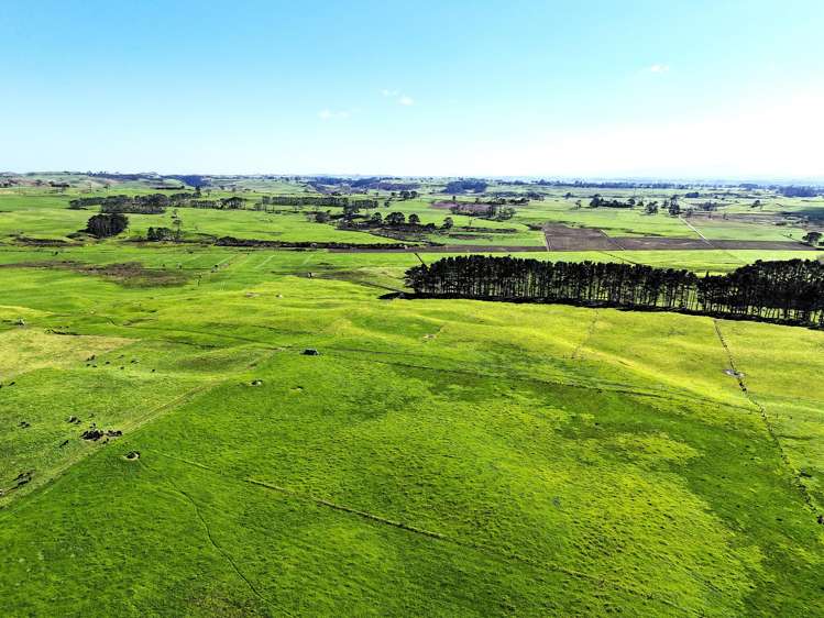 60 Scarrott Road Te Kopuru_23