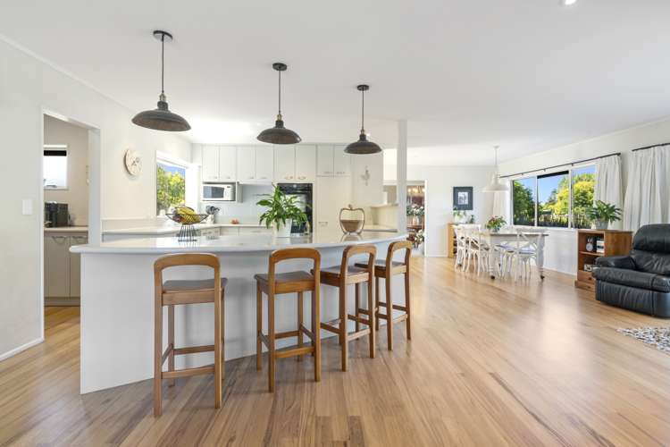 10 Dairy Stream Road Dairy Flat_2