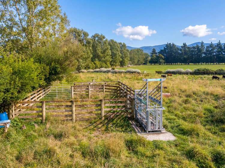 317 Wood Street Greytown_27