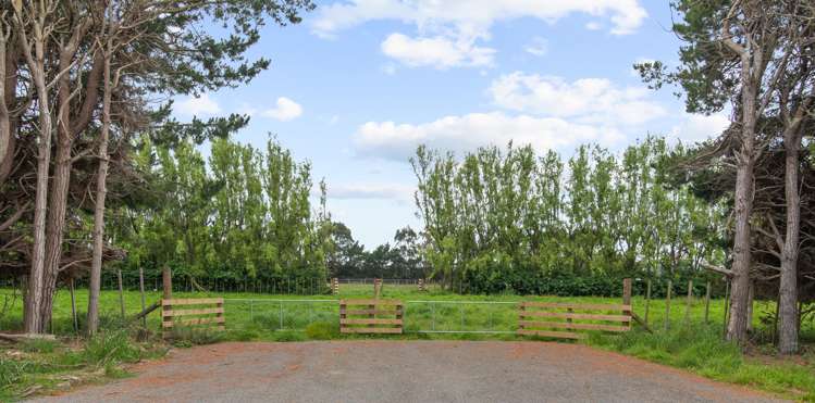 Setters Line Bunnythorpe_3