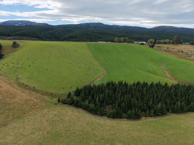 158 Kowhatu Road Waimate_2