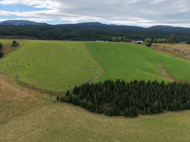 158 Kowhatu Road Waimate_2