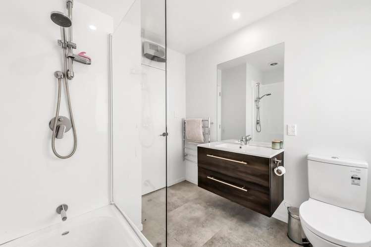 9 Princes Street Springfield_19