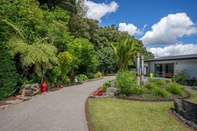 694 Ngunguru Road Glenbervie_28