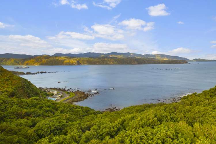 77 Sidlaw Street Strathmore Park_16