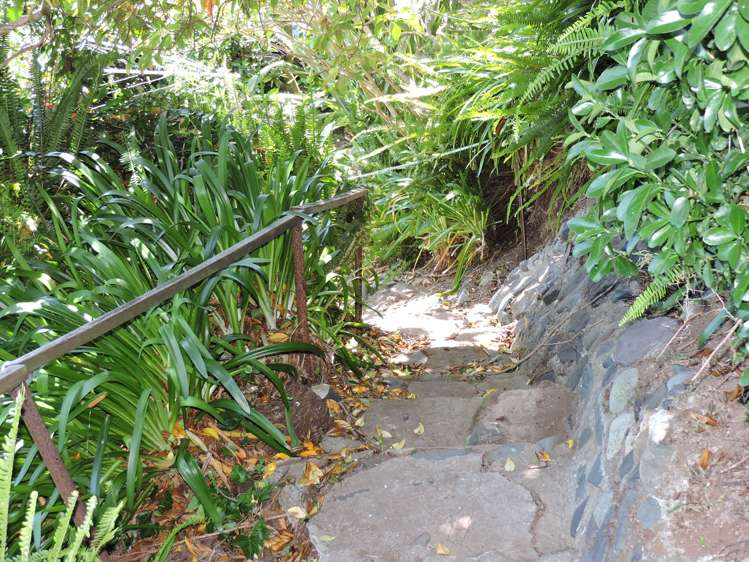 21 Creagh Street Tapu_18