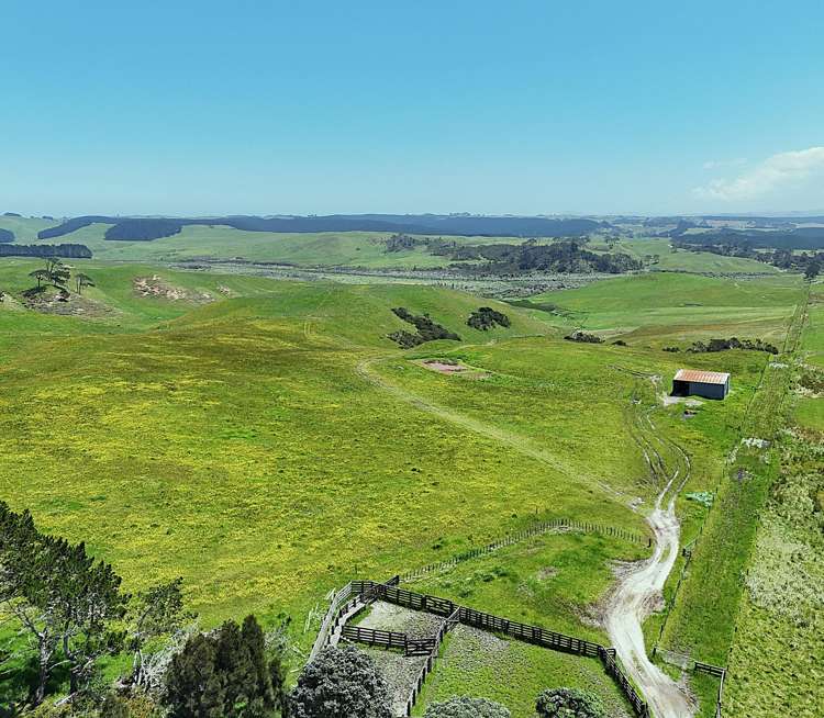 Lot Lot 2 Scottys Camp Road Dargaville_5