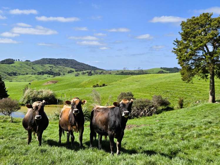 213 Lindquist Road Ararua_18