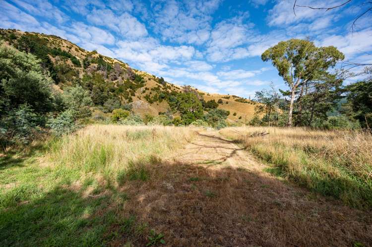 1845 Dovedale Road_3