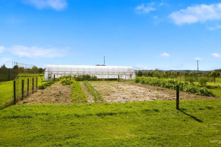 1961 Te Matai Road Te Puke_10