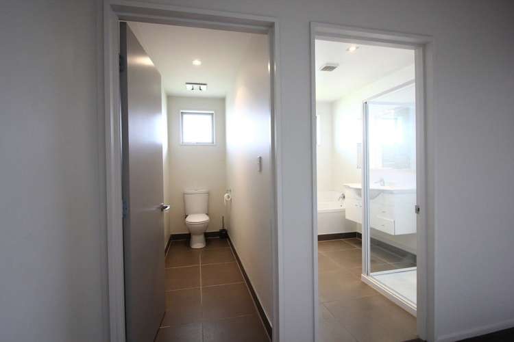 170 Lowes Road Rolleston_14