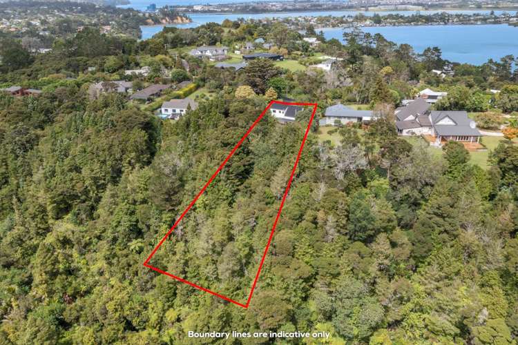 11 Ngarahana Avenue Paremoremo_22