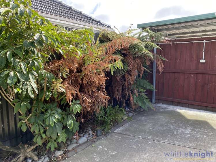 292a Wainoni Road Avondale_7