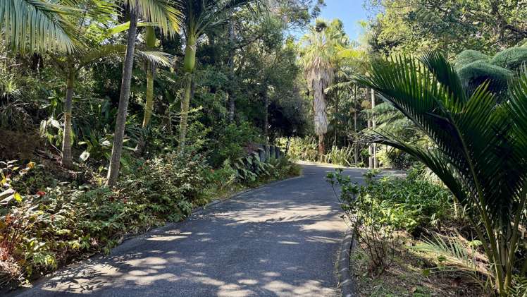 107 Hadfield Street Beach Haven_25