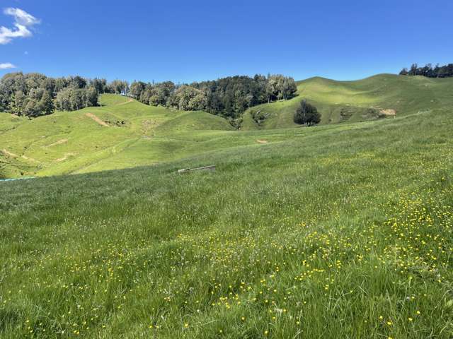 104 Tapuae Road Honikiwi_4