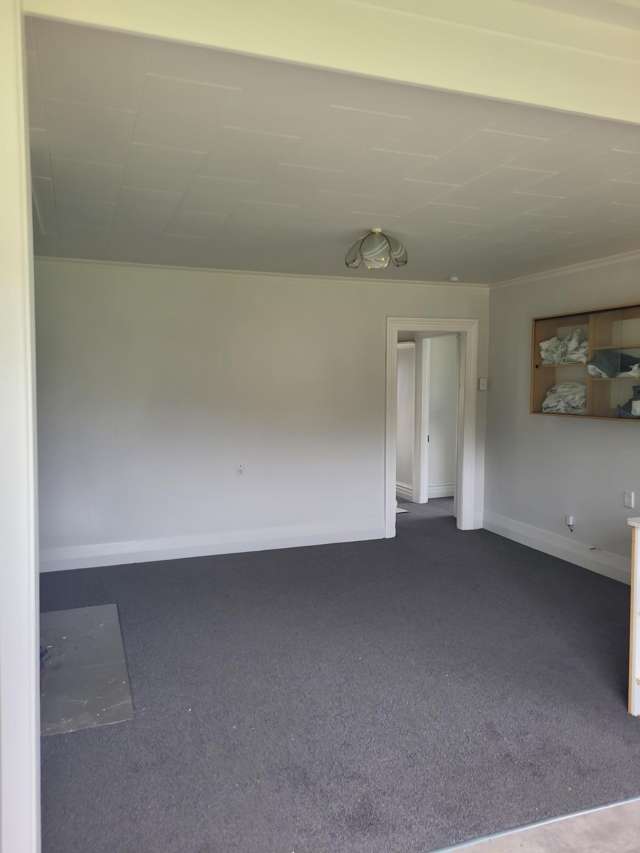 47 Needles Street Kaitangata_3