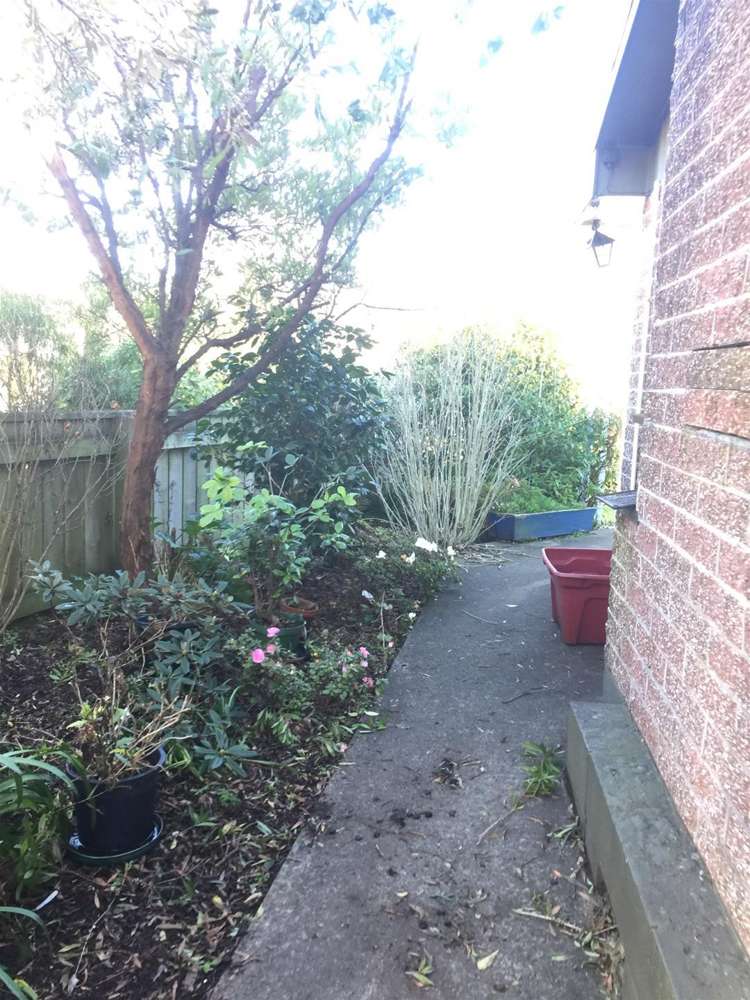 9 Scotland Street Picton_9