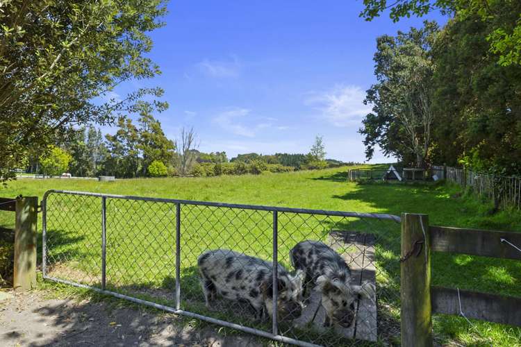 25 Eva Road Ridgewood_22