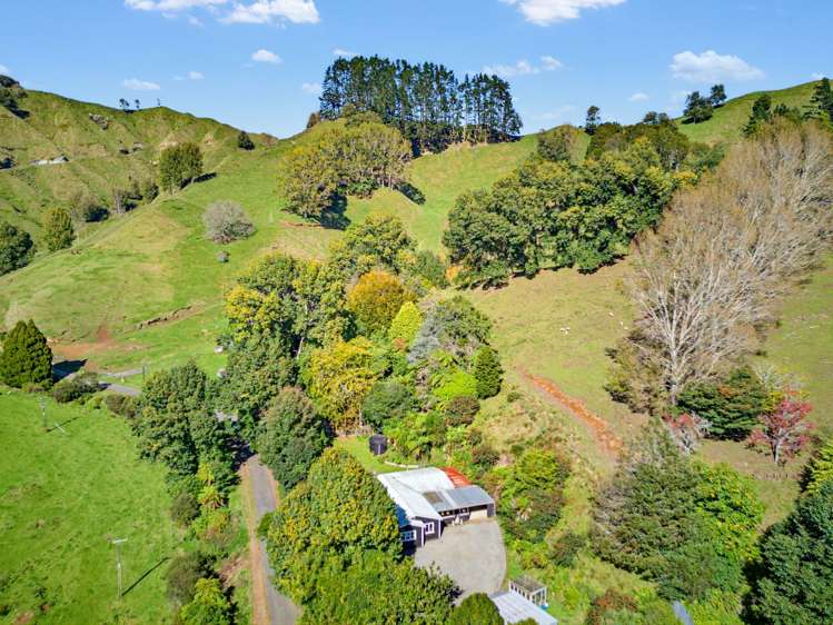 822 Motukawa Rd Inglewood_20