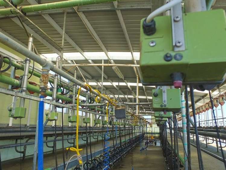 293 Forbes Road Winton Surrounds_9