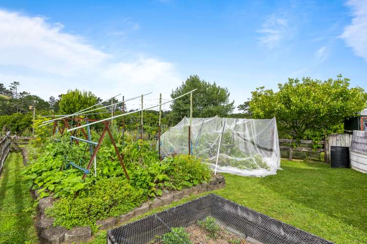 248 Blackbridge Road Dairy Flat_19