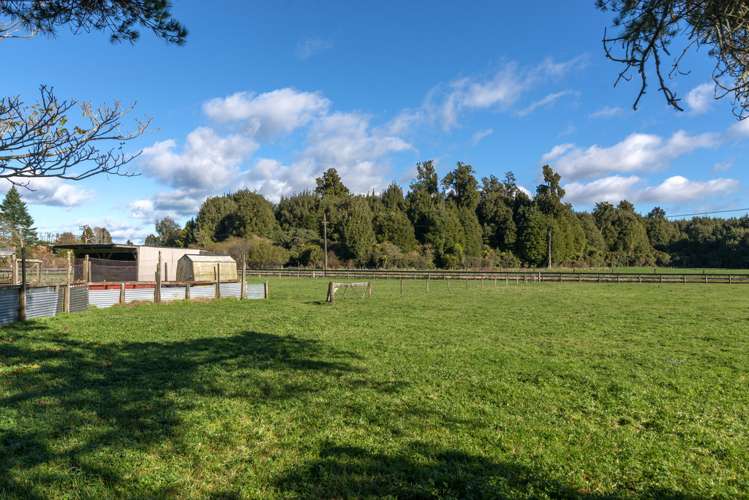 97 Tarena Street Mamaku_12