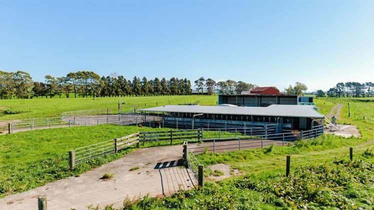 319 Waiau Road Onaero_8