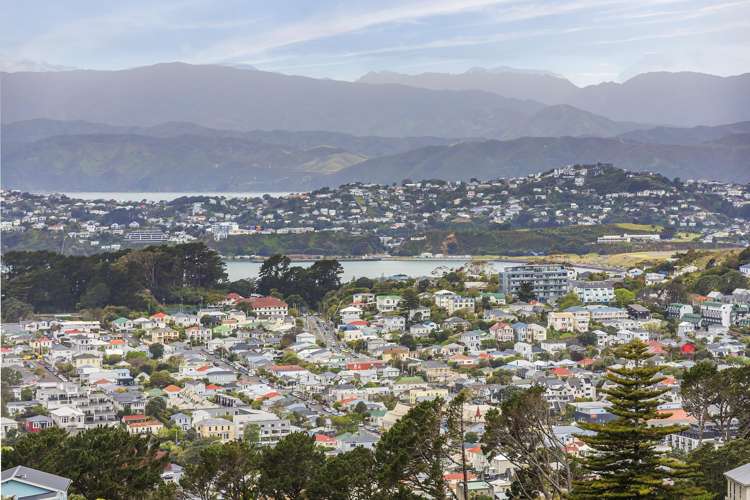 3/27 Whaui Street Vogeltown_20