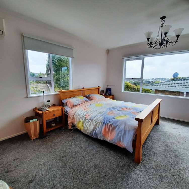 247A Hillsborough Road Hillsborough_12