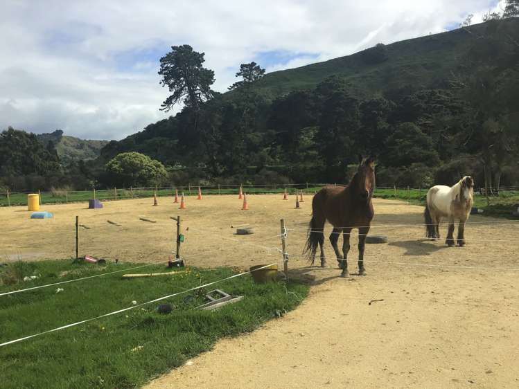 Pahiatua Pongaroa Road Pongaroa_6