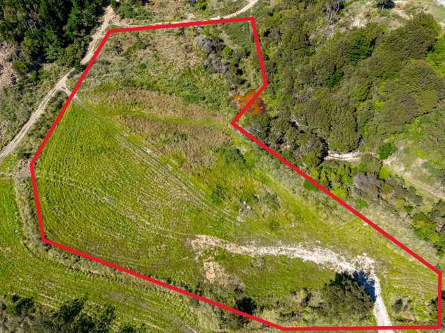 Mclaughlin Drive Tinui_2