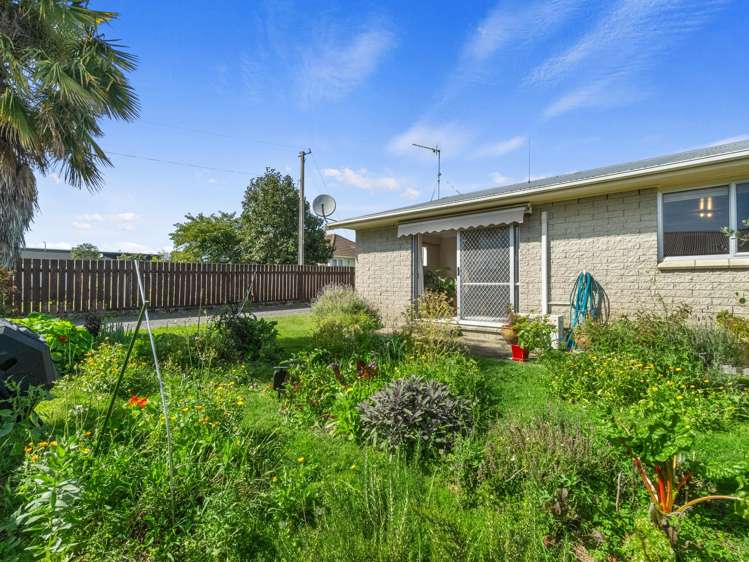 2/659 Mahoe Street Te Awamutu_14