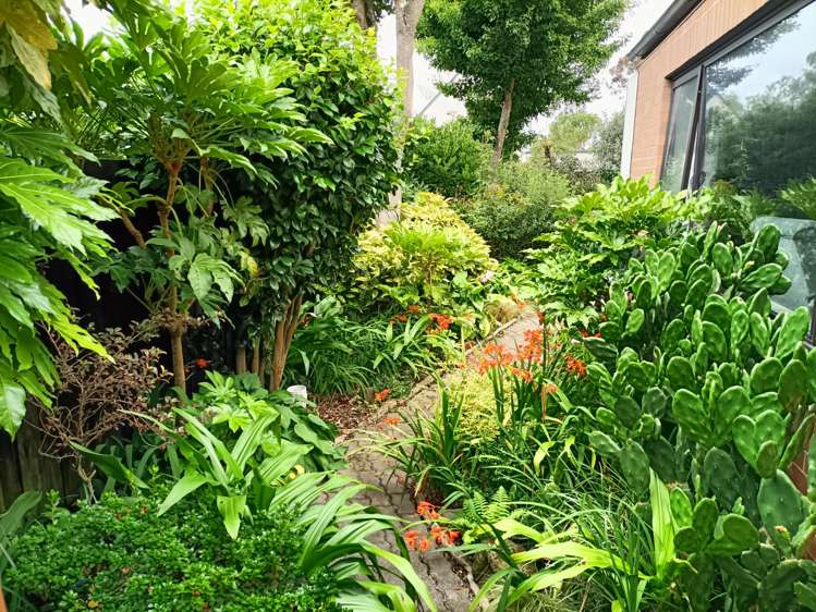 21 Dunrobin Place Avonhead_19