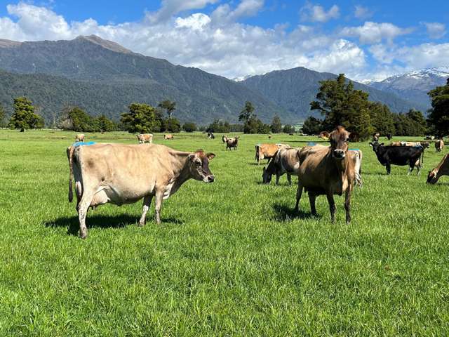 694-778 Waitaha Road Kakapotahi_1