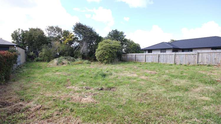 61A Ward Street Waverley_1