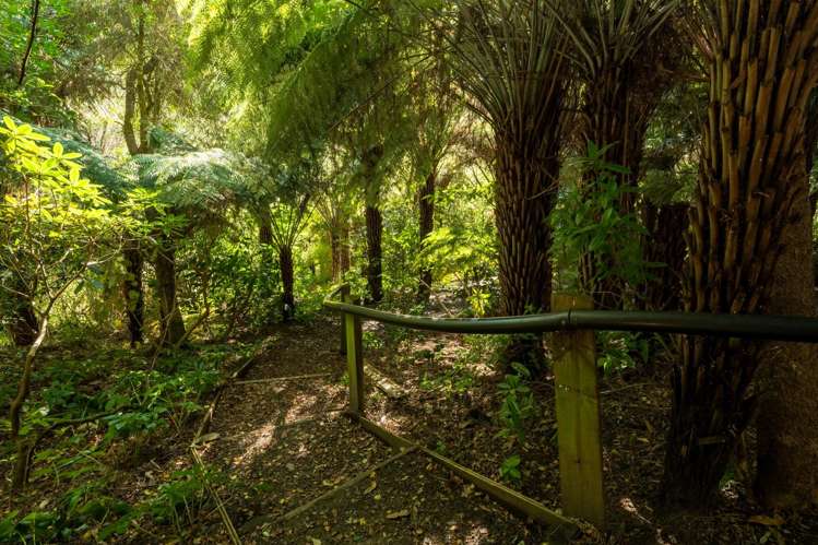 29 Manuka Drive Ngakuta Bay_31
