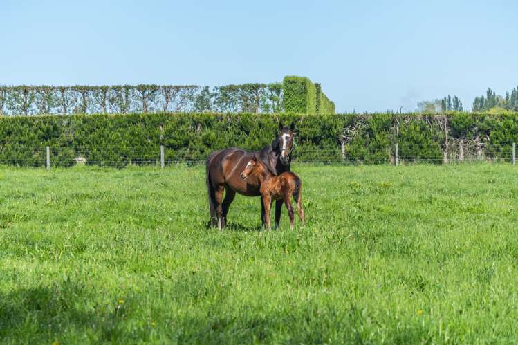 140 Hudsons Road Lincoln_14