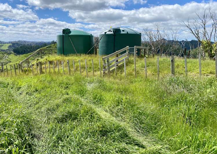 419 Motukawa Road Tarata_5