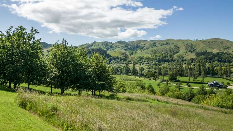 155 Matangi Road Central Hawkes Bay Coastal_5