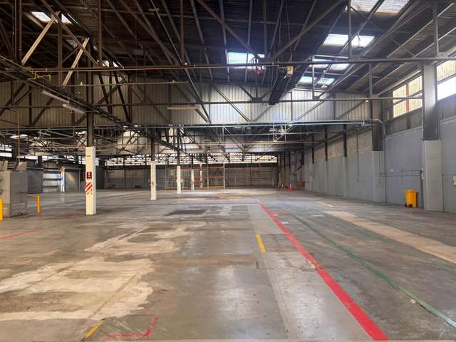 101 Collins Avenue Tawa_3