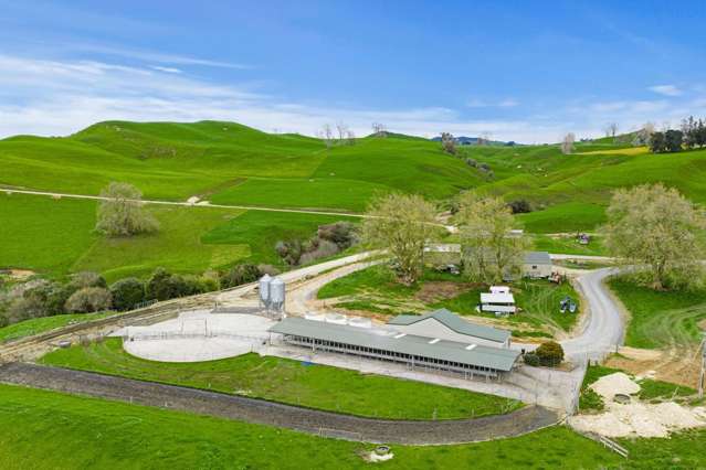 310 Paparamu Road Piarere_1