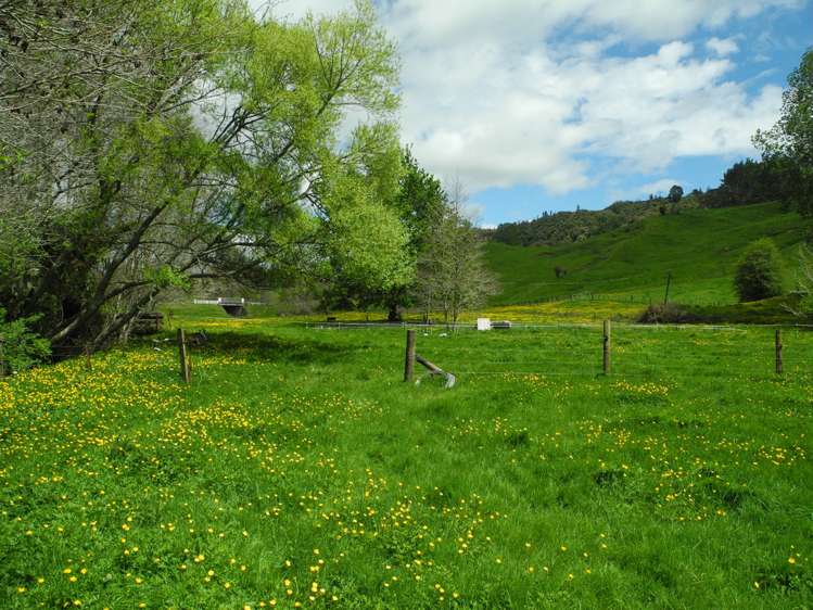 144 Honikiwi Road Otorohanga_12